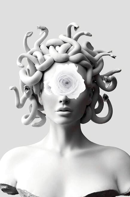 Medusa Canvas Art