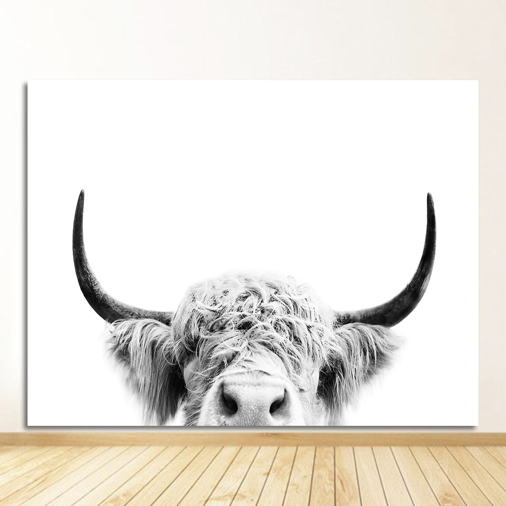 Black and White Yak Highland Cow Canvas Art