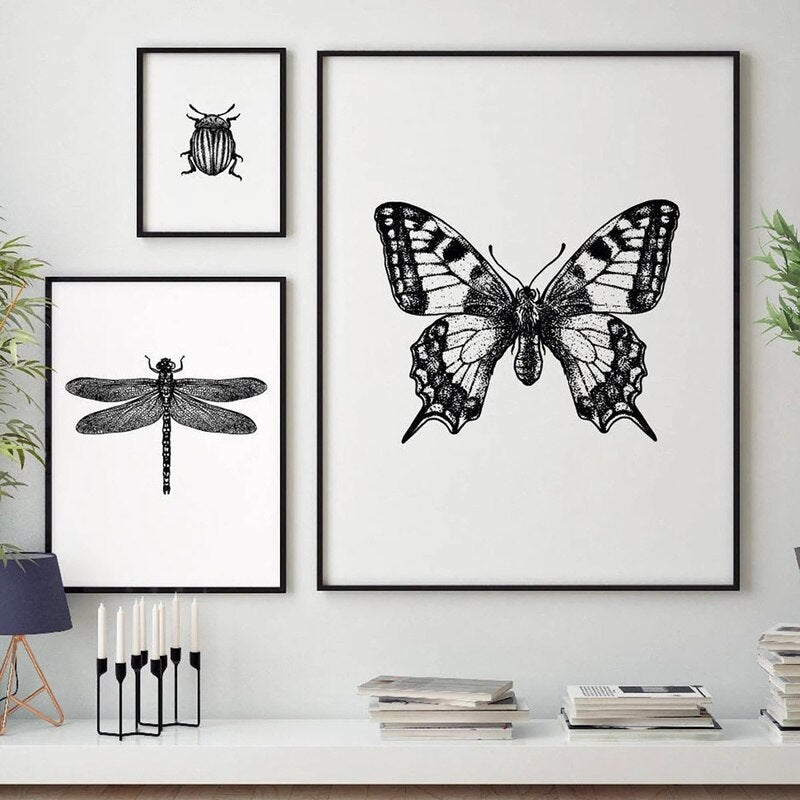 Black and White Insects Canvas Art