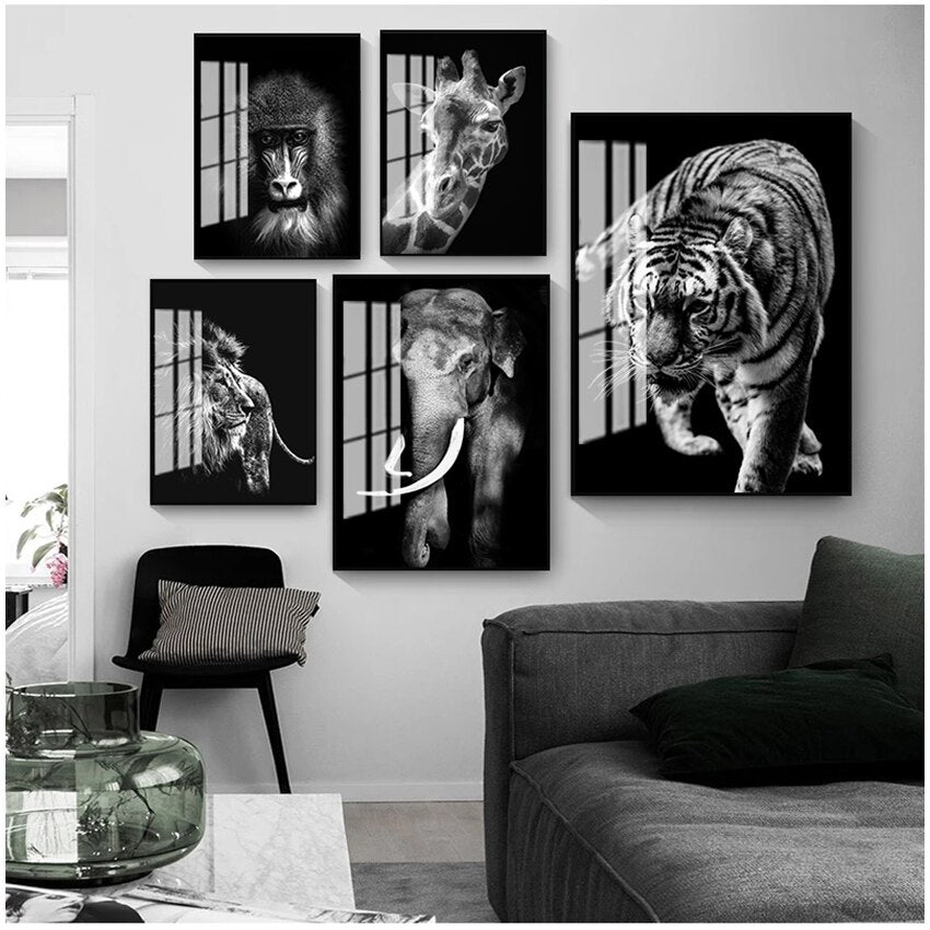 Black and White Animal Wall Art Canvas