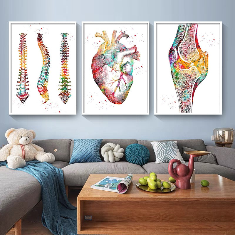 Human Anatomy Muscles System Canvas Art