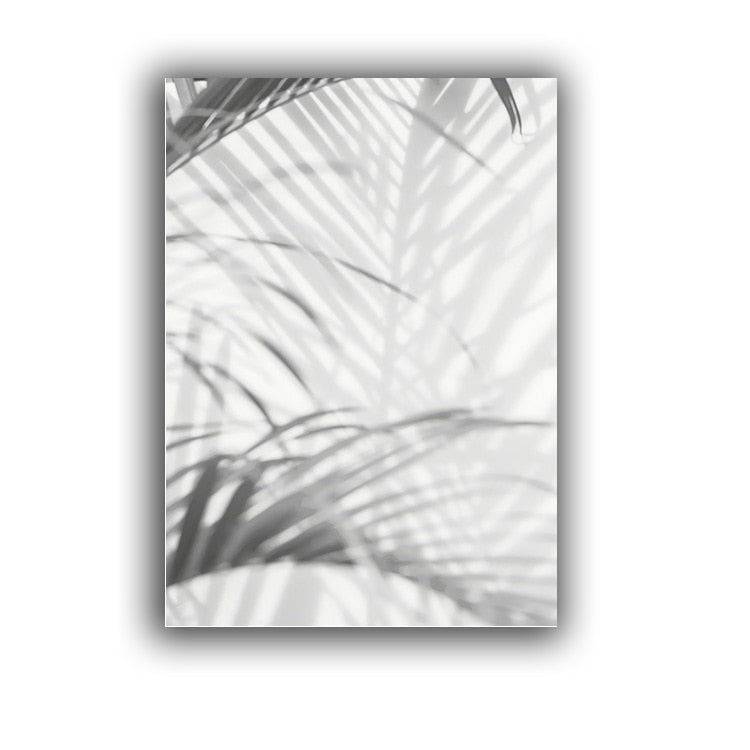 Black And White Dandelion Canvas Art