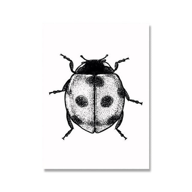 Black and White Insects Canvas Art