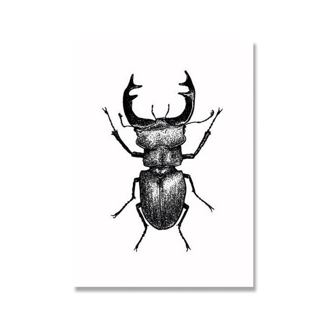 Black and White Insects Canvas Art