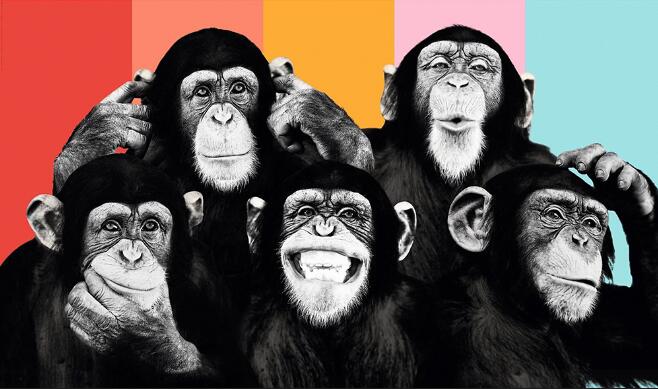 Funny Monkeys Graffiti Canvas Art