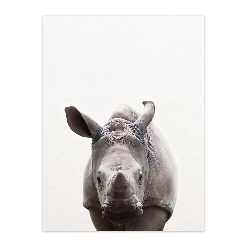 Cute Animal Canvas Art