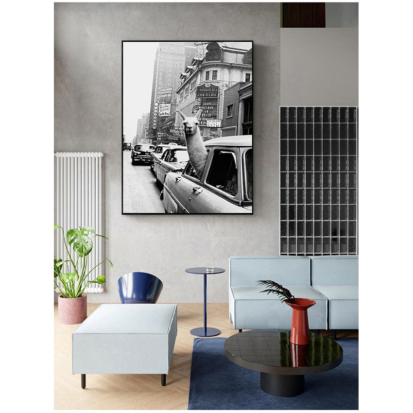 Black and White Alpaca in the Car Canvas Art