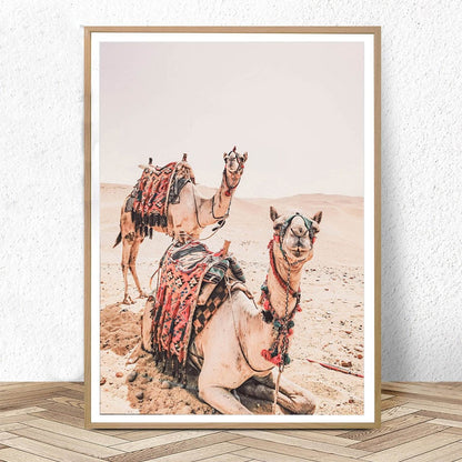 Pyramid Camel Canvas Art