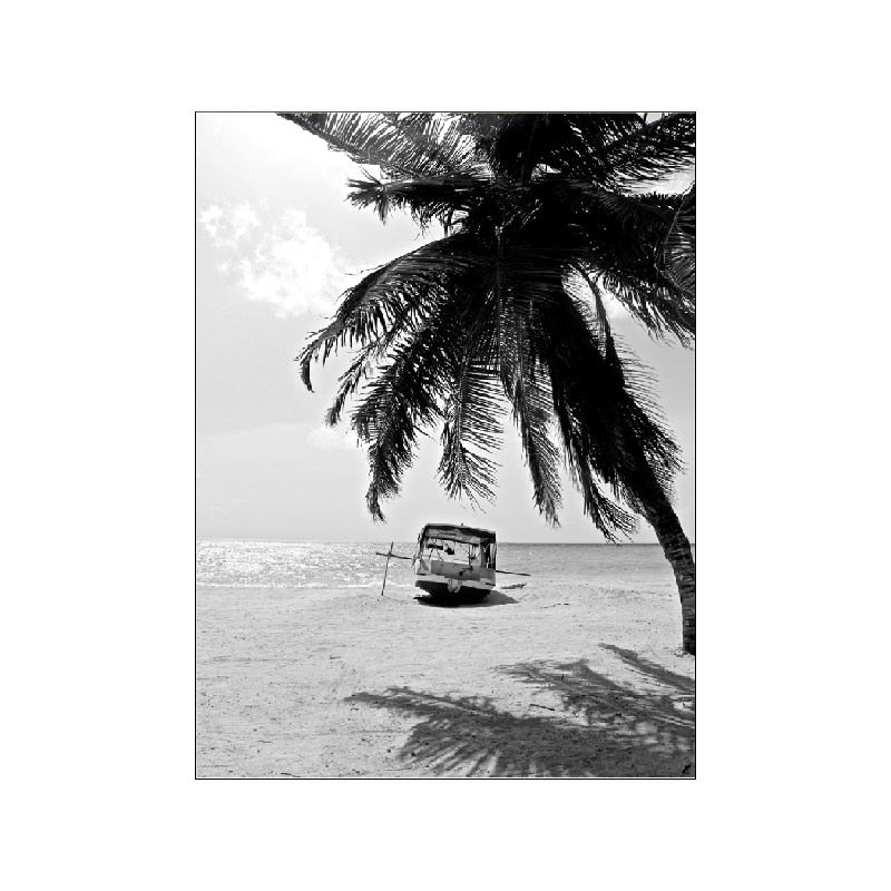 Black And White Palm Tree Canvas