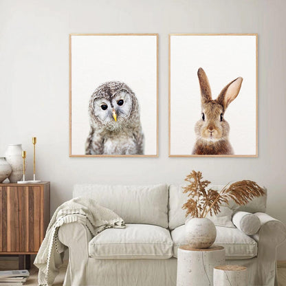 Cute Animal Canvas Art