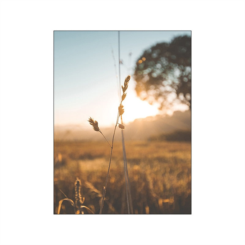 Autumn Grassland Africa Landscape Canvas Art