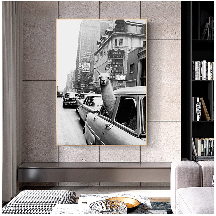 Black and White Alpaca in the Car Canvas Art