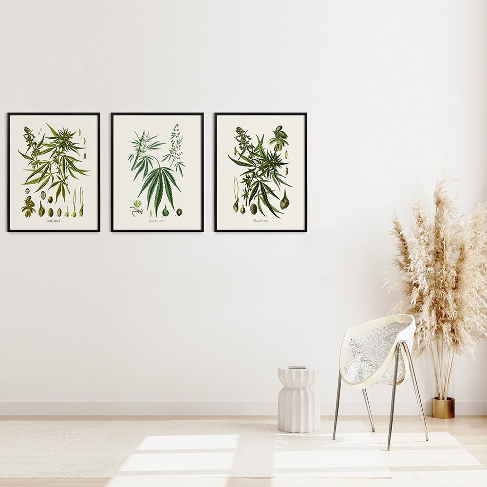 Herb Weed Botanical Vintage Canvas Art