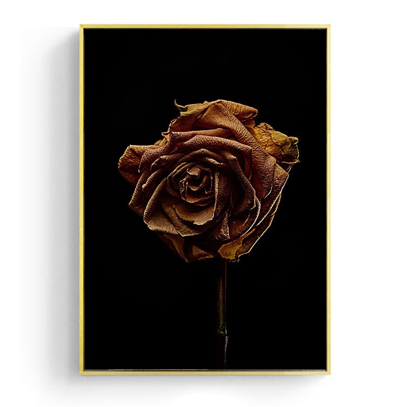 Withered Rose Canvas Art