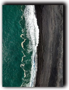 Beach Overlooking Blue Ocean Canvas Art