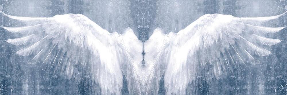 Black And White Angel Wings Wall Art Canvas