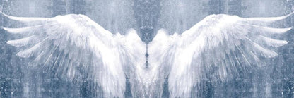 Black And White Angel Wings Wall Art Canvas