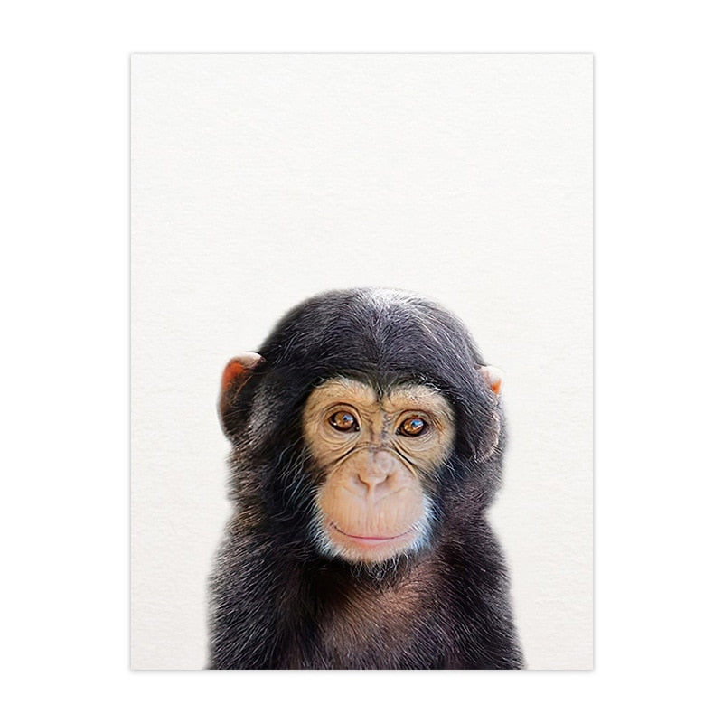 Cute Animal Canvas Art