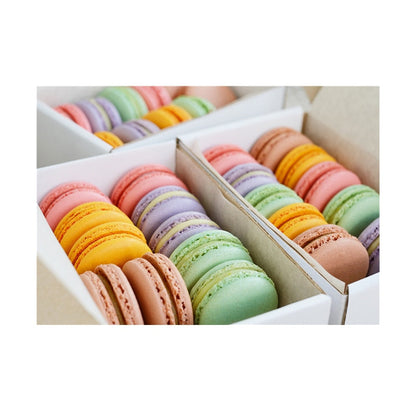 Colorful Macaron Canvas Art