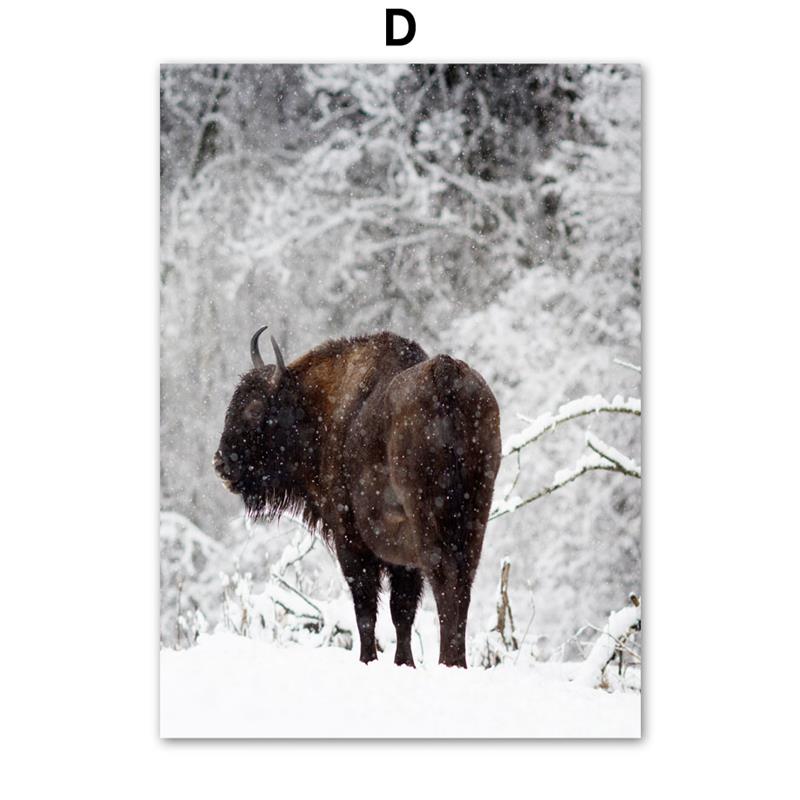 Winter Snow Forest Pine Highland Cattle Canvas Art