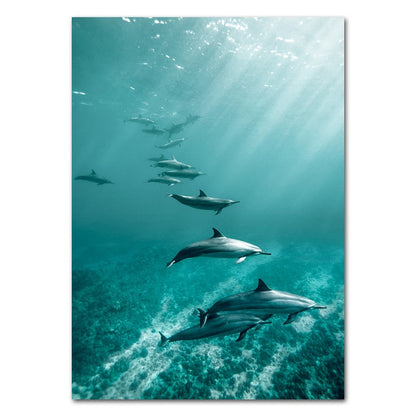 Whale Dolphin Canvas Art