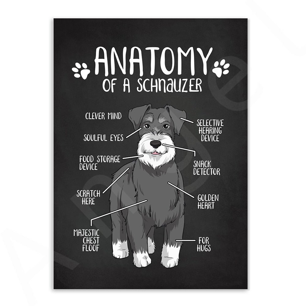 Anatomy of Dogs Canvas Art