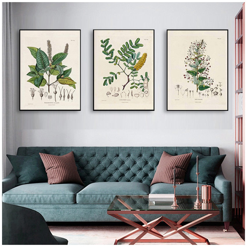 Botanical Studies Wall Art Canvas