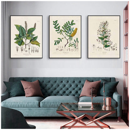 Botanical Studies Wall Art Canvas