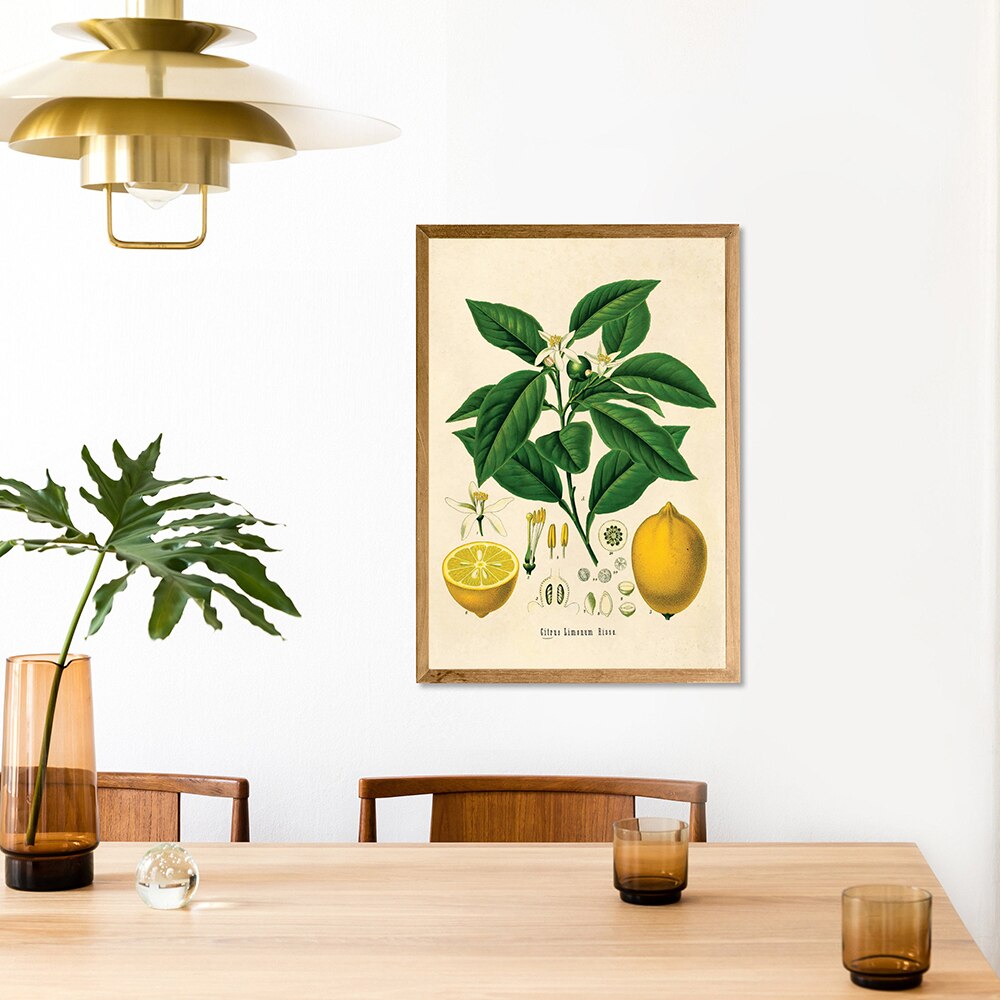 Lemon Vintage Botanical Canvas Art