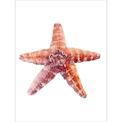 Watercolor Starfish Marine Canvas Art