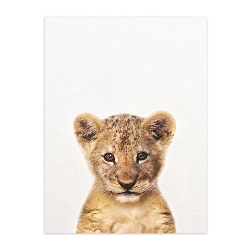 Cute Animal Canvas Art