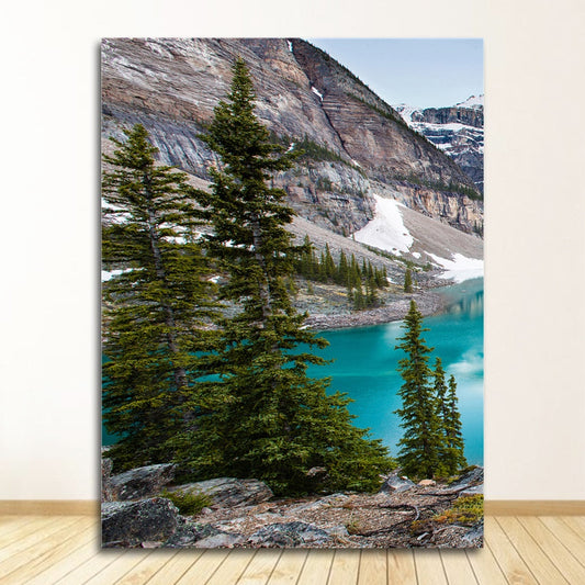 Lake Forest Mountain Canvas Art