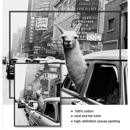 Black and White Alpaca in the Car Canvas Art