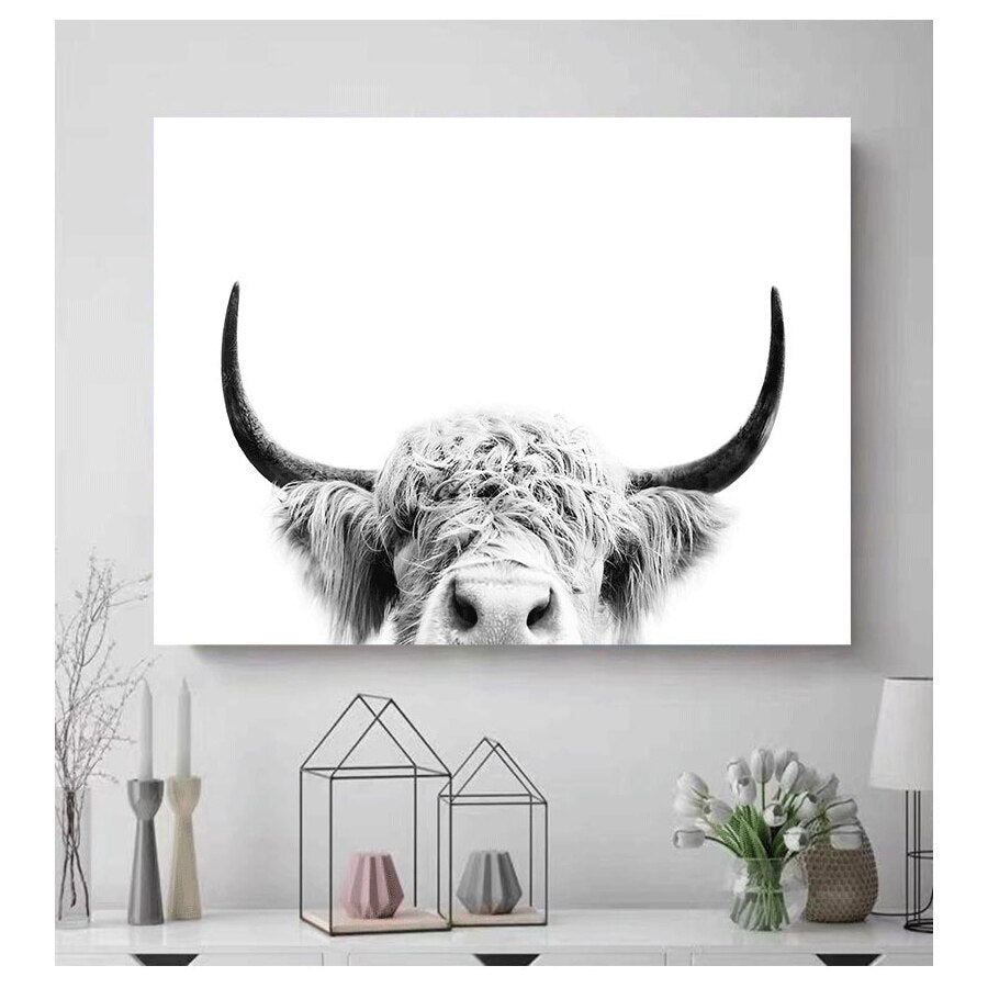 Black and White Yak Highland Cow Canvas Art