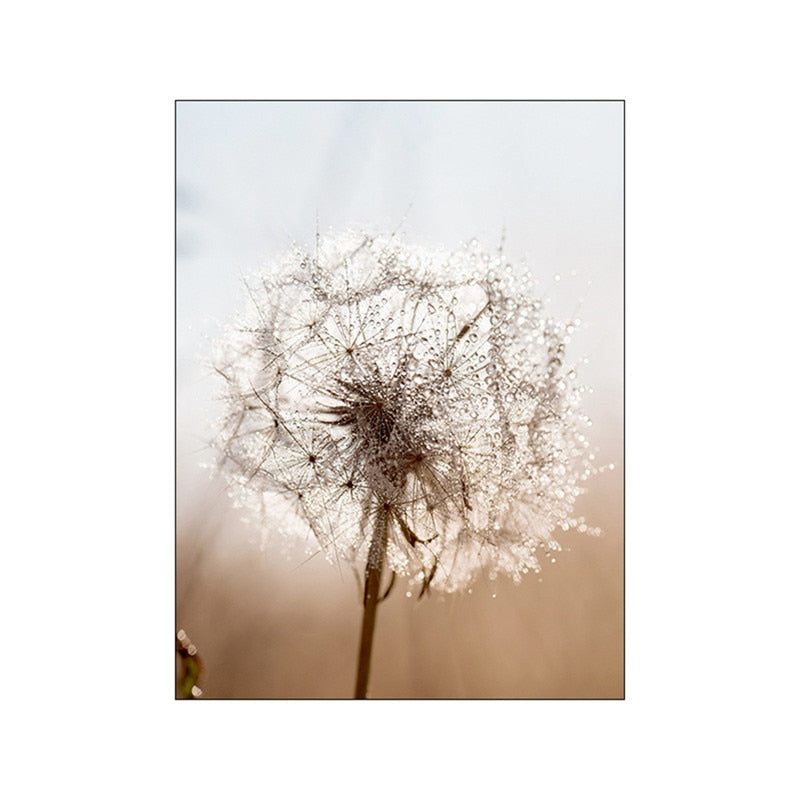 Brown Landscape Dandelion Elk Canvas Art