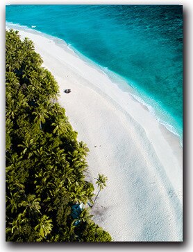 Beach Overlooking Blue Ocean Canvas Art