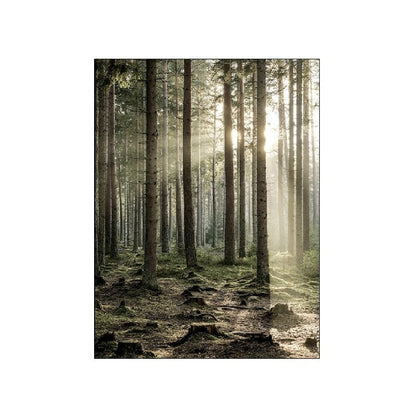 Green Forest Valley Canvas Art