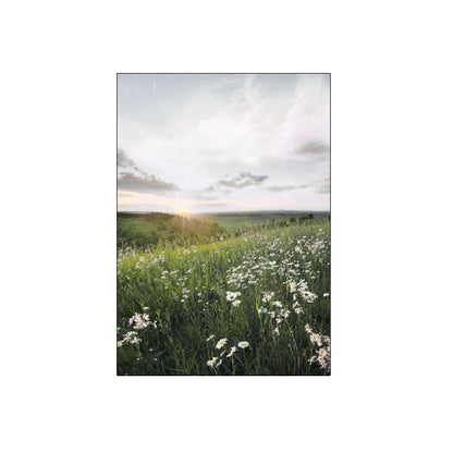 Green Forest Valley Canvas Art