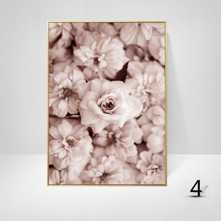 White Pink Peony Canvas Art