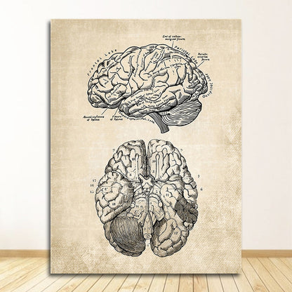 Vintage Anatomy Canvas Art