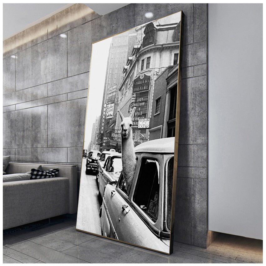 Black and White Alpaca in the Car Canvas Art