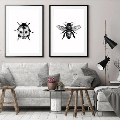 Black and White Insects Canvas Art