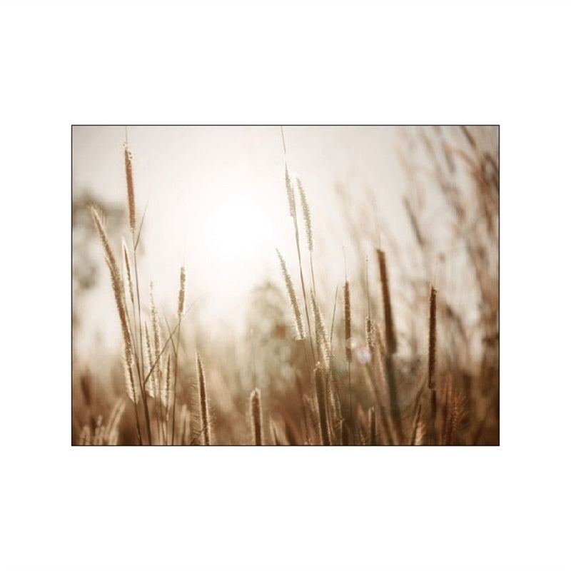 Grassland Lion Dandelion Canvas Art