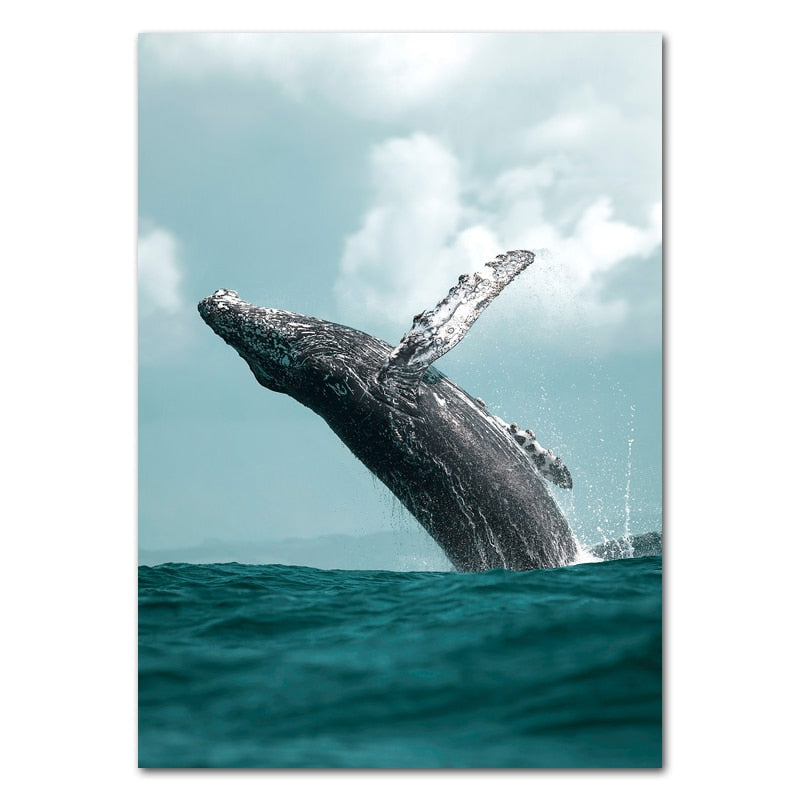 Whale Dolphin Canvas Art