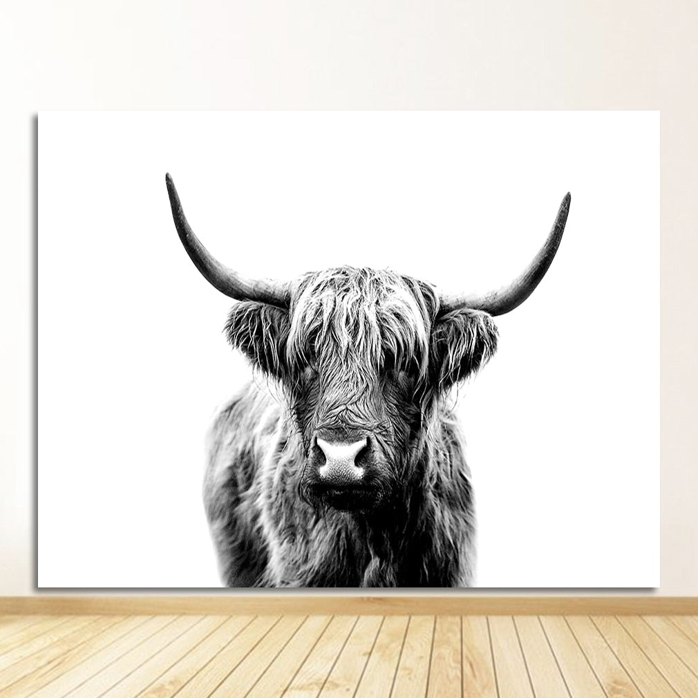 Black and White Yak Highland Cow Canvas Art