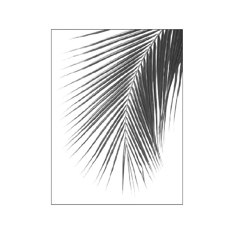 Black And White Palm Tree Canvas