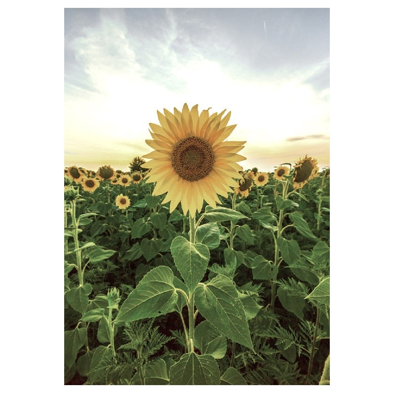 Nordic Landscape Sunflower Bear Canvas Art