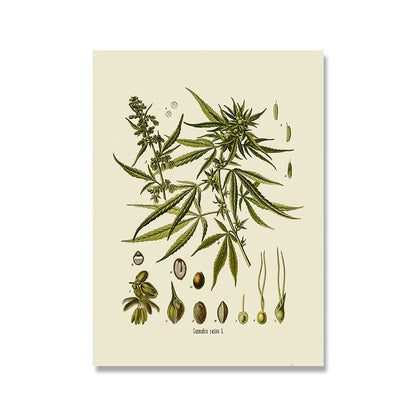 Herb Weed Botanical Vintage Canvas Art