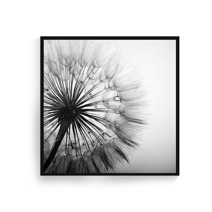 Black and White Dandelion Flower Art