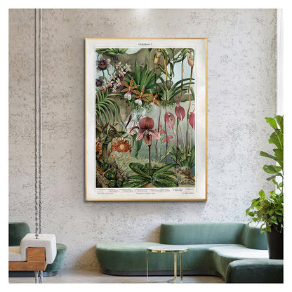 Orchids Late 1800s Botanical Poster Wall Art Canvas